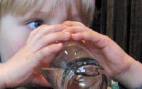 Charity Giving Online - Donate to Food Ethics Council