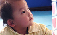 Charity Giving Online - Donate to Half the Sky Foundation