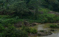 Online Fundraising - Donate to Ranforest Conservation Fund Online Fundraising - Donate to Ranforest Conservation Fund