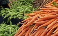 Charity Giving Online - Donate to Natural Resources Defense Council