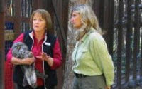 Charity Giving Online - Donate to Medicine River Wildlife Centre