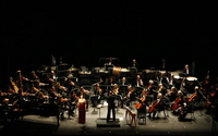 Personal fundraising pages in aid of New York City Opera