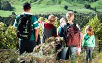 Charity Giving Online - Donate to Pukaha Mount Bruce