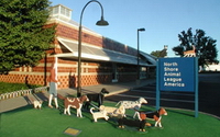 Charity Giving Online - Donate to North Shore Animal League America