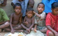 Online Fundraising - Donate to Foodrelief