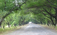 Personal fundraising pages in aid of Neem Foundation