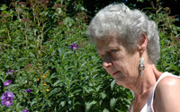 Charity Giving Online - Donate to Harris Hospiscare Charity Giving Online - Donate to Harris Hospiscare