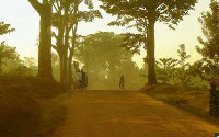 Online Fundraising - Donate to Hives Save Lives - Africa