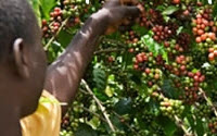 Online Fundraising - Donate to Kulika