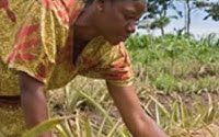 Personal fundraising pages in aid of Kulika