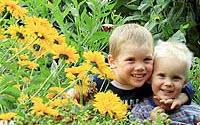 Charity Giving Online - Donate to NABU