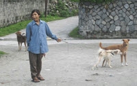 Personal fundraising pages in aid of Himalayan Animal Rescue Trust