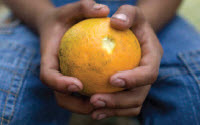 Charity Giving Online - Donate to La Strada International