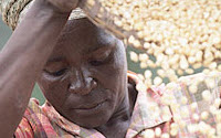 Charity Giving Online - Donate to Brot für die Welt