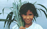 Personal fundraising pages in aid of Brot für die Welt