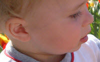 Charity Giving Online - Donate to Innocence En Danger