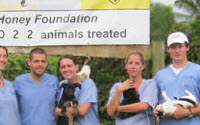 Charity Giving Online - Donate to Esther Honey Foundation