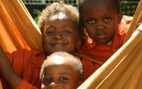 Online Fundraising - Donate to TLC
