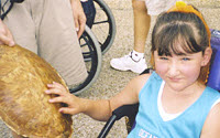 Personal fundraising pages in aid of Wishing Well Foundation