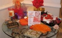 Online Fundraising - Donate to Nancy Davis Foundation for Multiple Sclerosis
