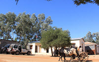 Charity Giving Online - Donate to GAVI