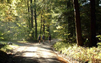 Charity Giving Online - Donate to Williams College Charity Giving Online - Donate to Williams College