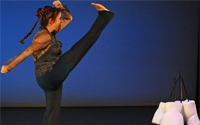 Online Fundraising - Donate to New Works Online Fundraising - Donate to New Works