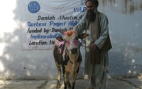 Charity Giving Online - Donate to Danish Muslim Aid