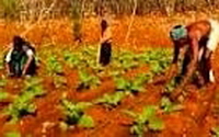 Online Fundraising - Donate to Acumen Fund