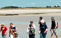Online Fundraising - Donate to Fondation de France