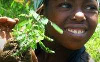 Charity Giving Online - Donate to The Vi Agroforestry Programme
