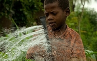 Online Fundraising - Donate to The Vi Agroforestry Programme