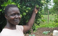 Personal fundraising pages in aid of The Vi Agroforestry Programme