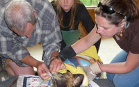 Personal fundraising pages in aid of Aspen Center for Environmental Studies