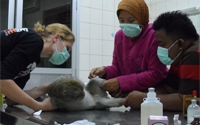 Charity Giving Online - Donate to Wanicare Foundation